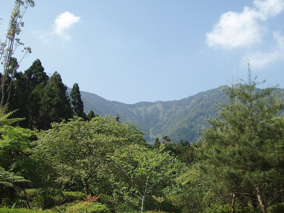 溪頭自然教育園區